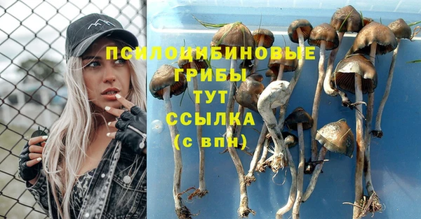 круглые Вяземский