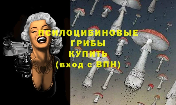 меф Горняк