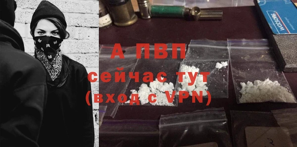 прущие грибы Пролетарск
