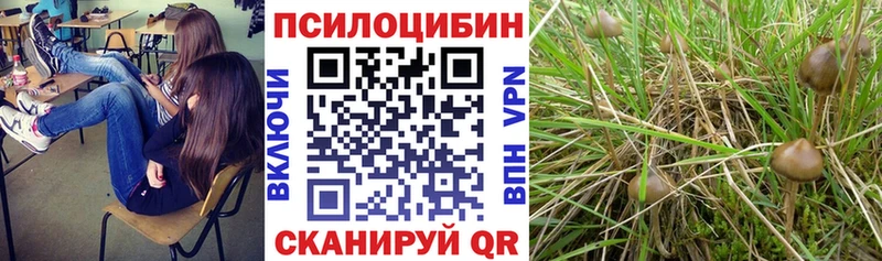 Галлюциногенные грибы Magic Shrooms  купить закладку  Данков 